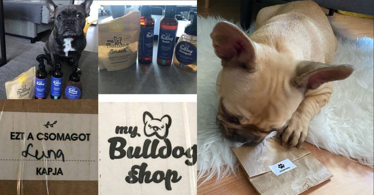 mybulldog shop